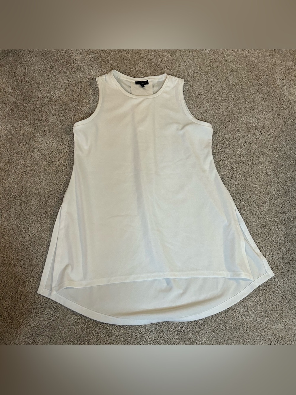 The Limited tunic